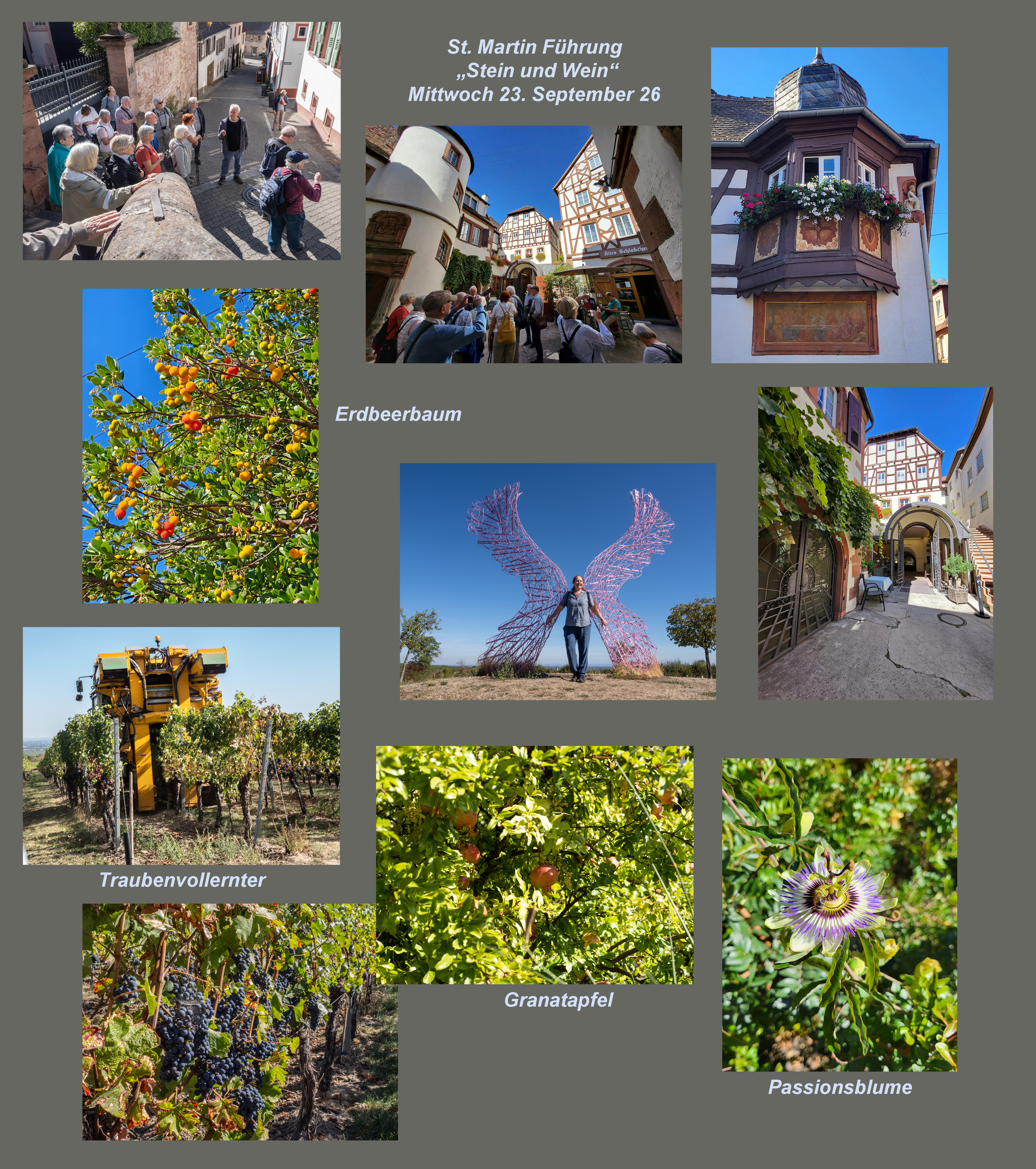 Zusammenstellung 20.09.26 6